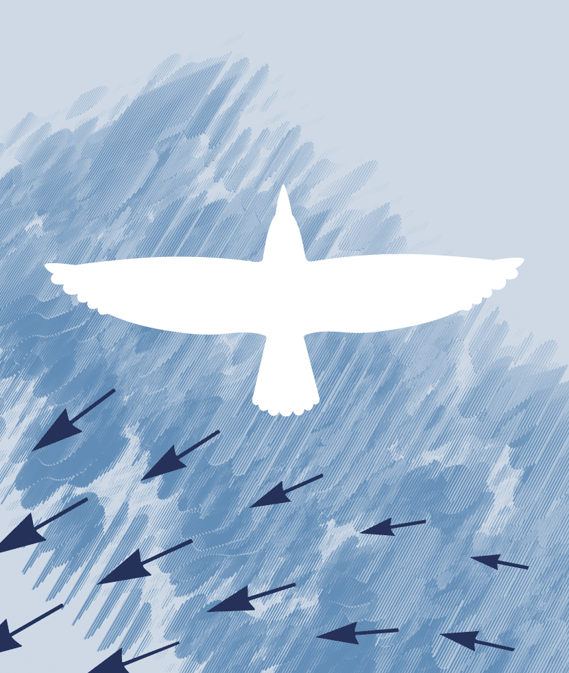 White bird soaring above arrows.
